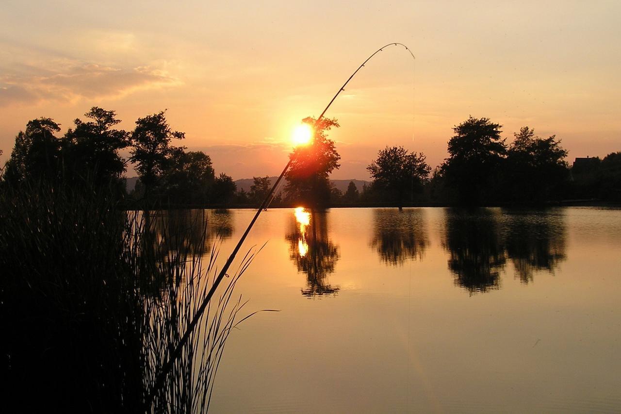 Belko Panzio Bed & Breakfast เบลาแพตฟอลวา ภายนอก รูปภาพ
